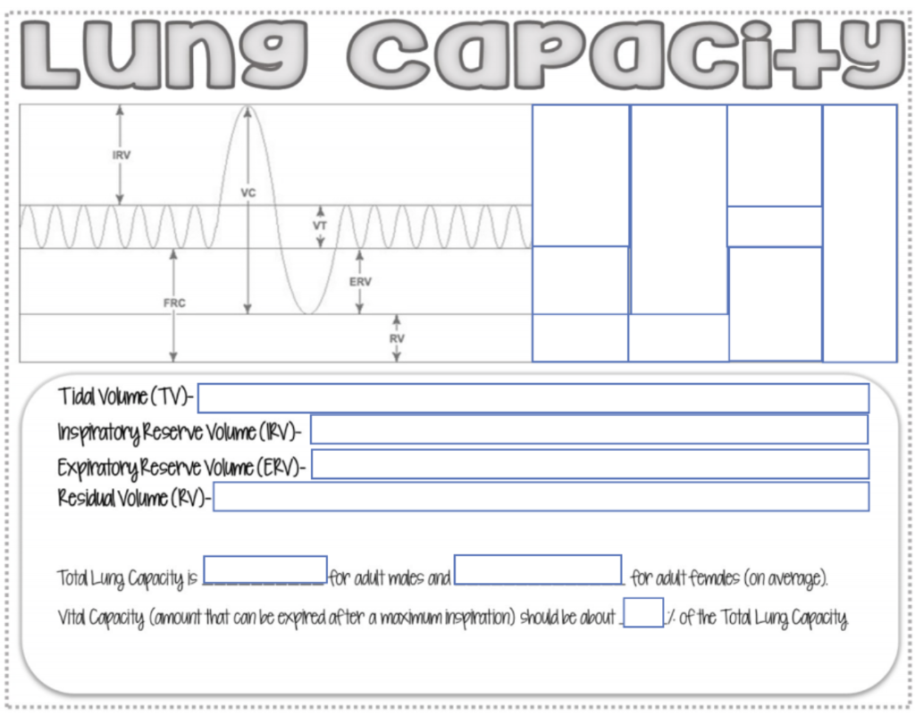 solved-please-fill-out-the-above-lung-capacity-chart-please-chegg