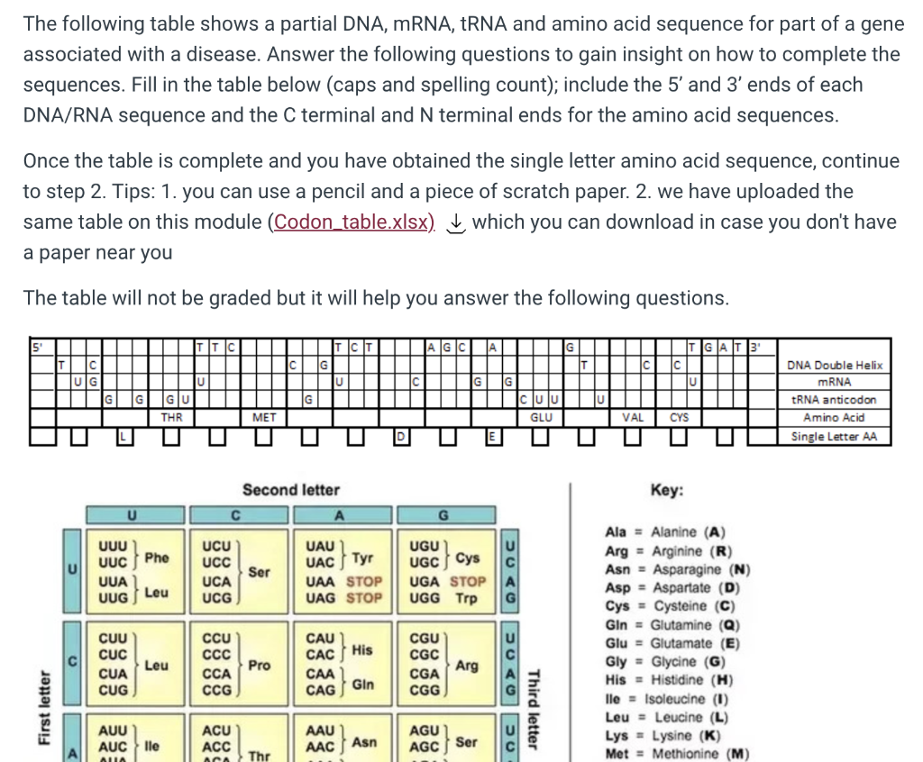 Solved The Following Table Shows A Partial Dna Mrna Rna 