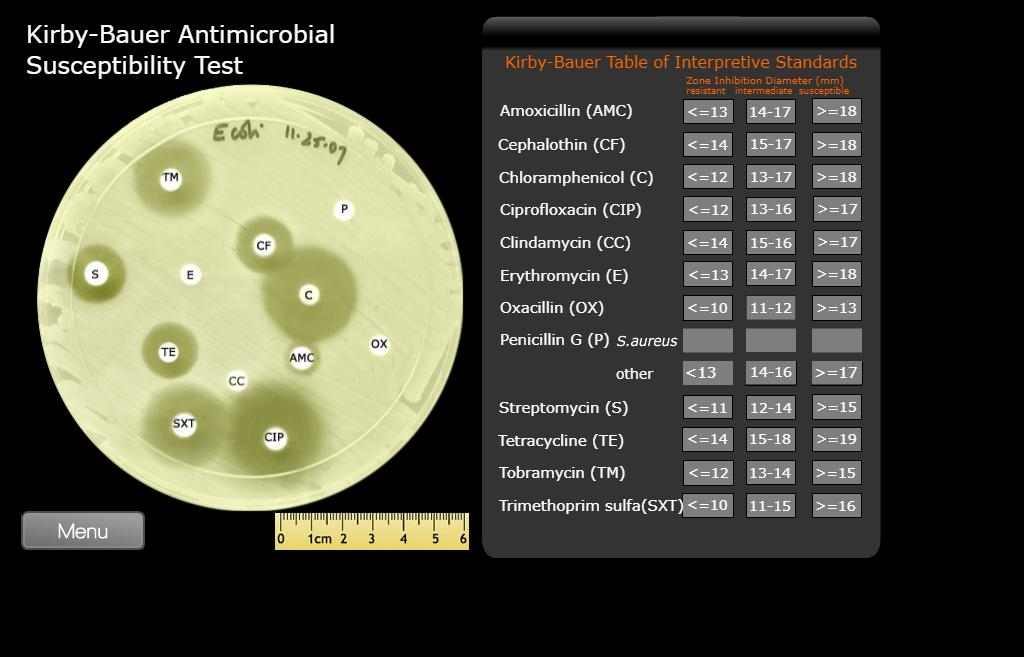 Kirby-Bauer Antimicrobial Susceptibility Test | Chegg.com