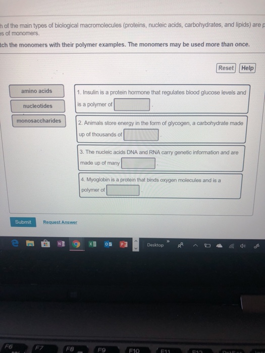 Solved h of the main types of biological macromolecules | Chegg.com