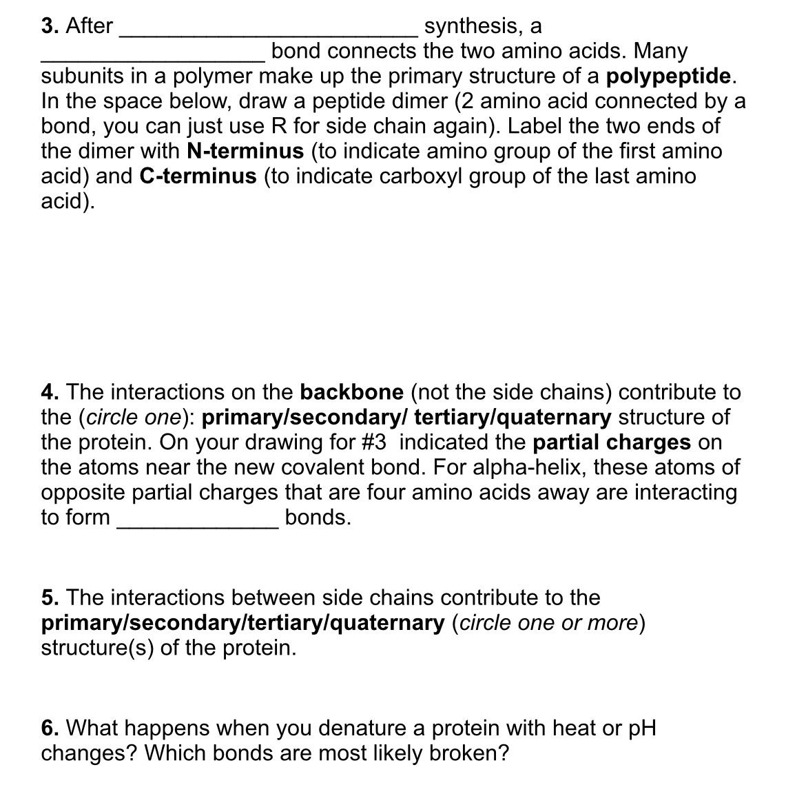 Solved 3. After synthesis, a bond connects the two amino
