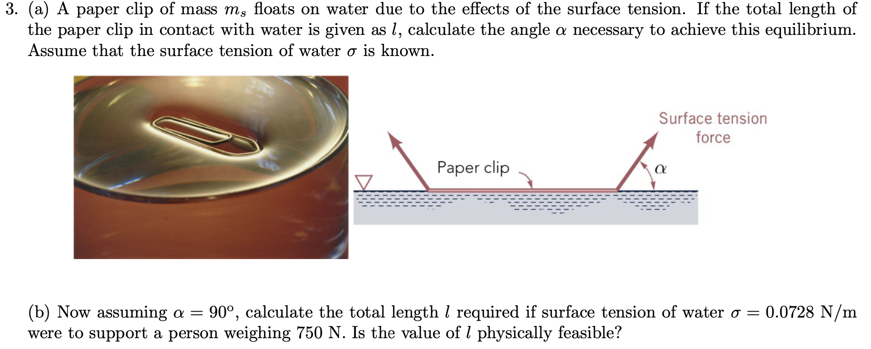 Solved 3. (a) A paper clip of mass ms floats on water due to