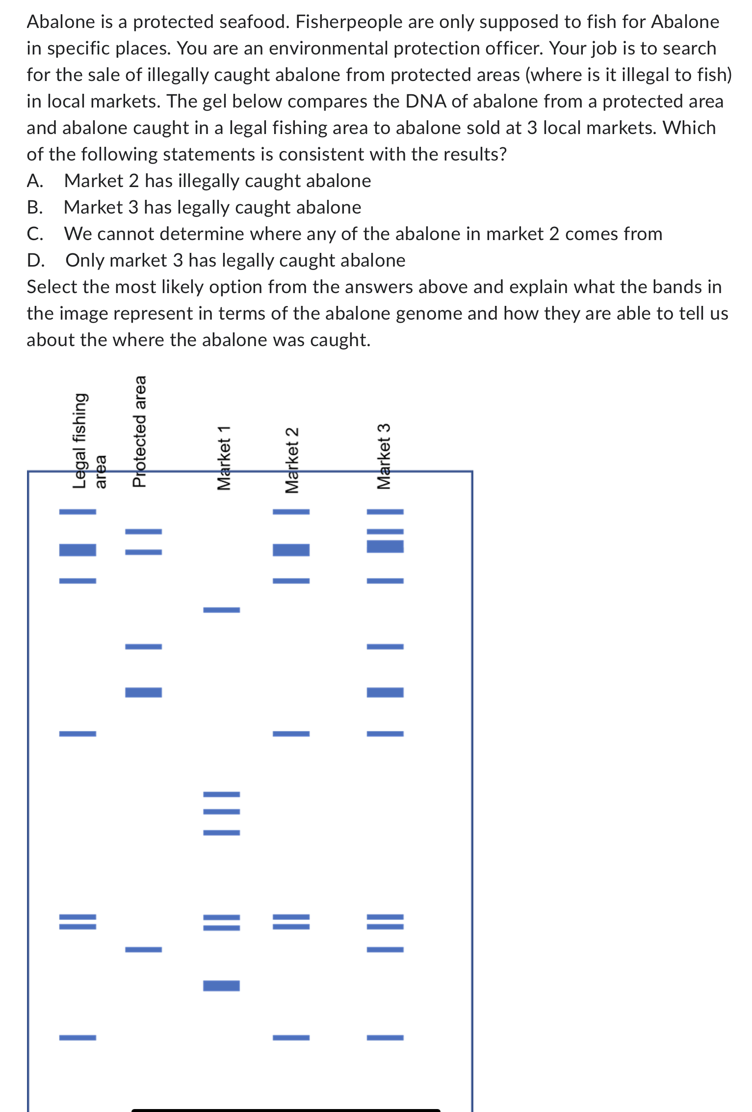 Solved Abalone is a protected seafood. Fisherpeople are only