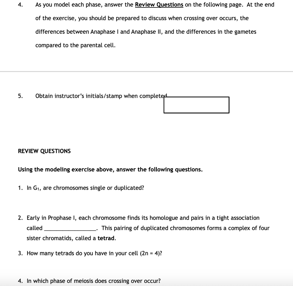 Solved Activity 1 Modeling Meiosis 1. In This Activity,...