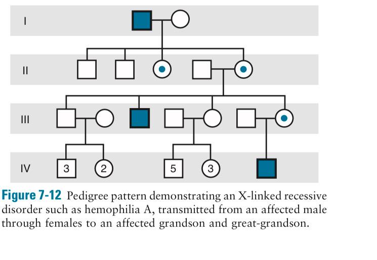 Solved Calculate the risk of the human pedigrees: (7.12, | Chegg.com