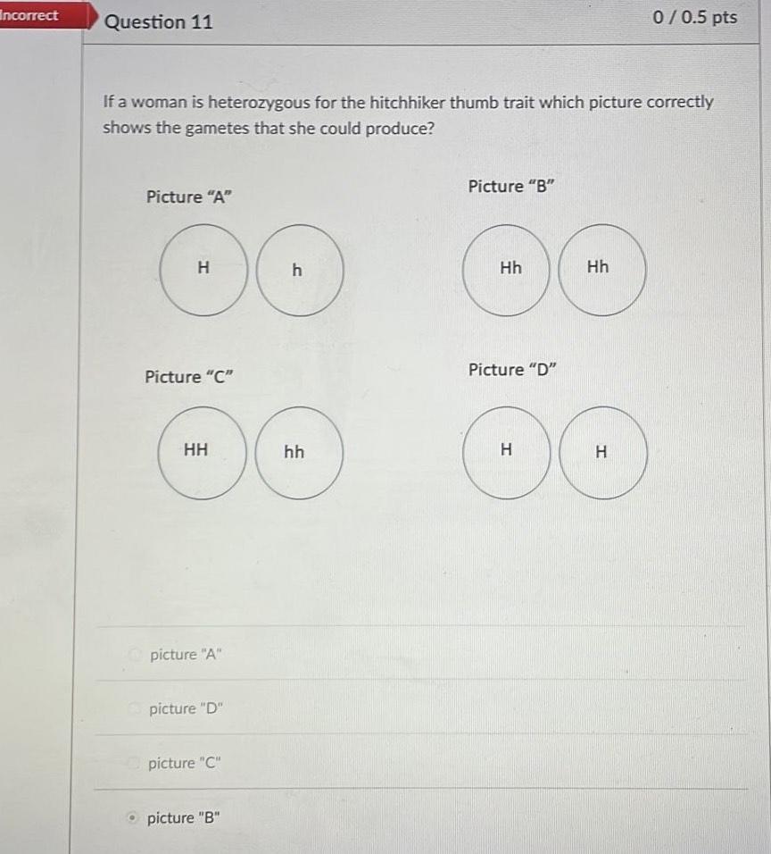 Solved ect Question 11 0/0.5 pts If a woman is heterozygous