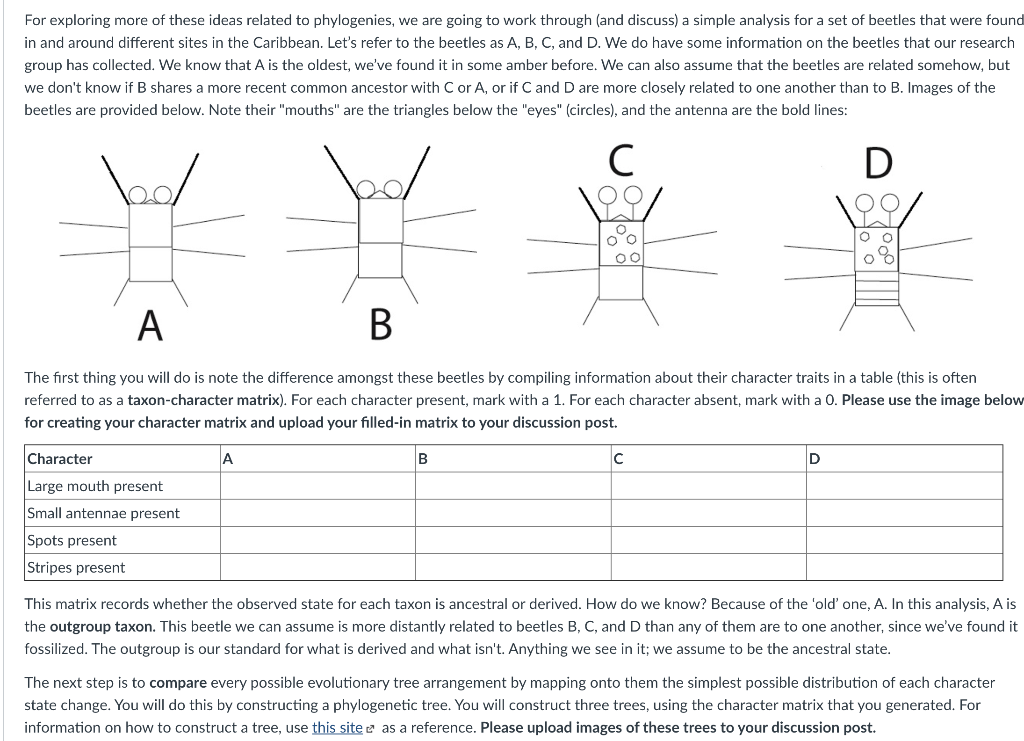 Solved I was able to construct the taxon-character matrix, | Chegg.com