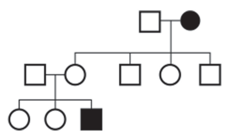 Solved Bloom syndrome is a rare genetic disorder. It is | Chegg.com