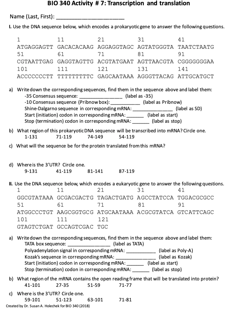 Solved BIO 340 Activity #7: Transcription and translation | Chegg.com