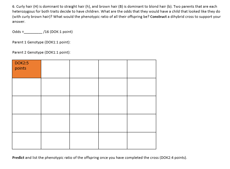 Solved 6 Curly Hair H Is Dominant To Straight Hair h Chegg
