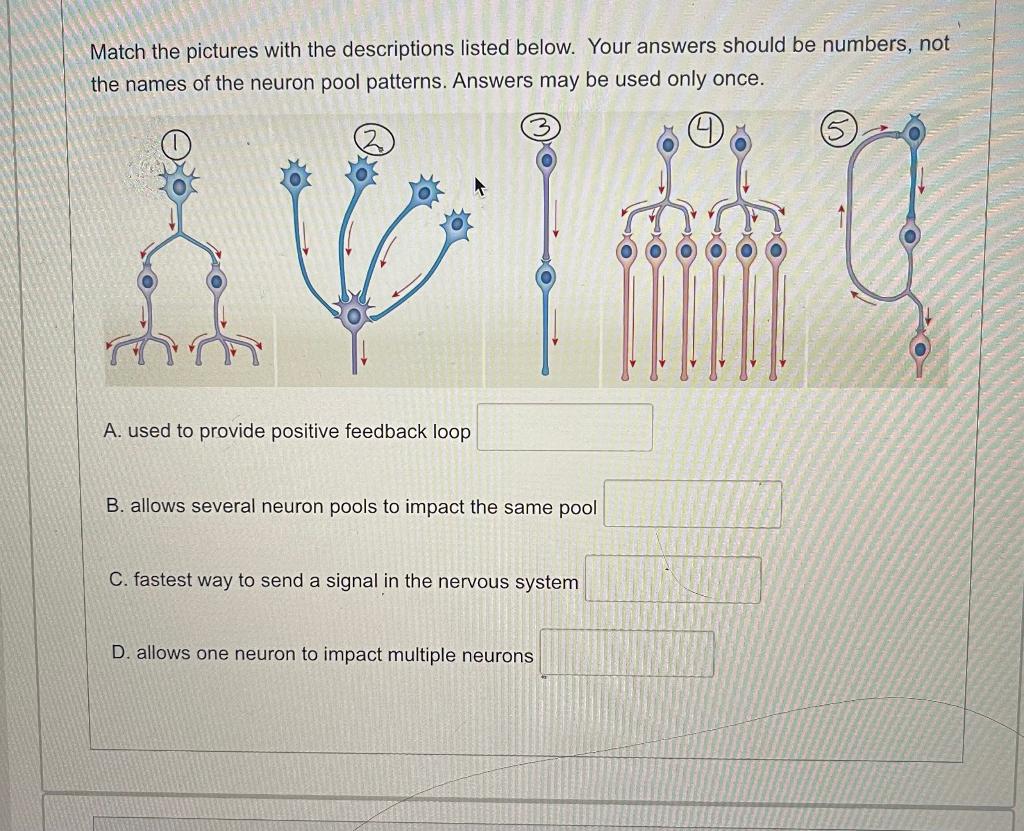 Solved Match the pictures with the descriptions listed | Chegg.com