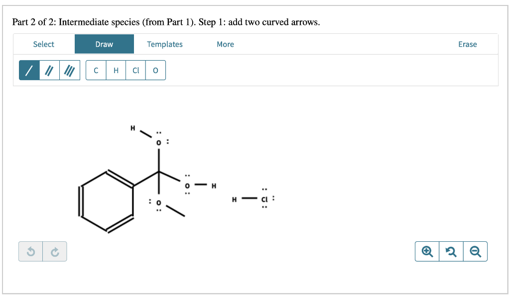 Solved Examination of the Fischer esterification mechanism | Chegg.com