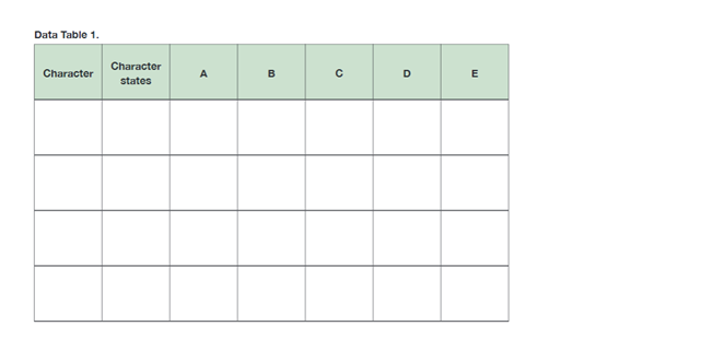 Table 1. Character Character State C=0 (-) = 1 G= 0 | Chegg.com
