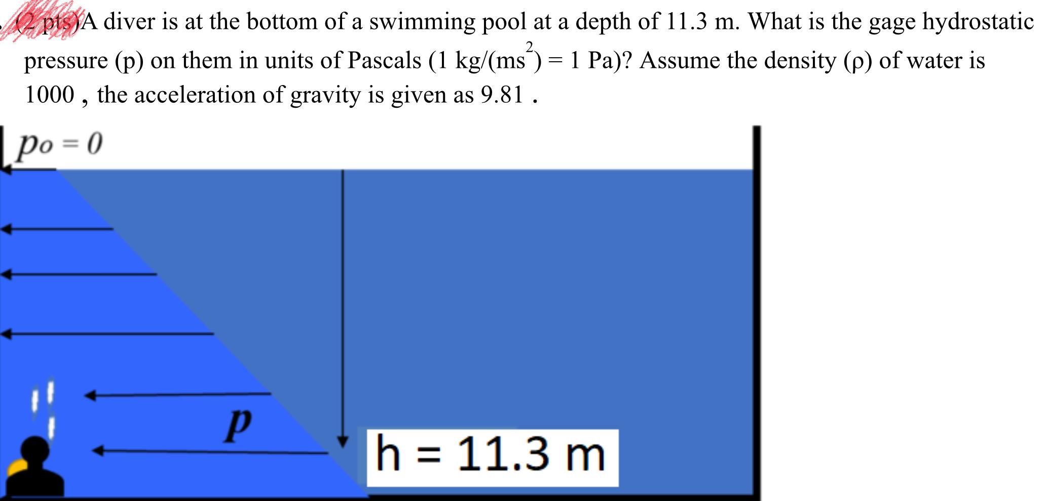 Solved 2 pts A diver is at the bottom of a swimming pool at | Chegg.com