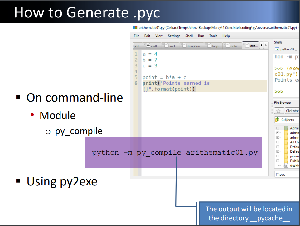 Reverse engineering in Python Part I Scenario: | Chegg.com