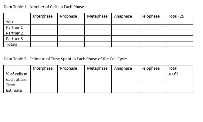 Solved Identify the phases of the cell cycle for 25 randomly | Chegg.com