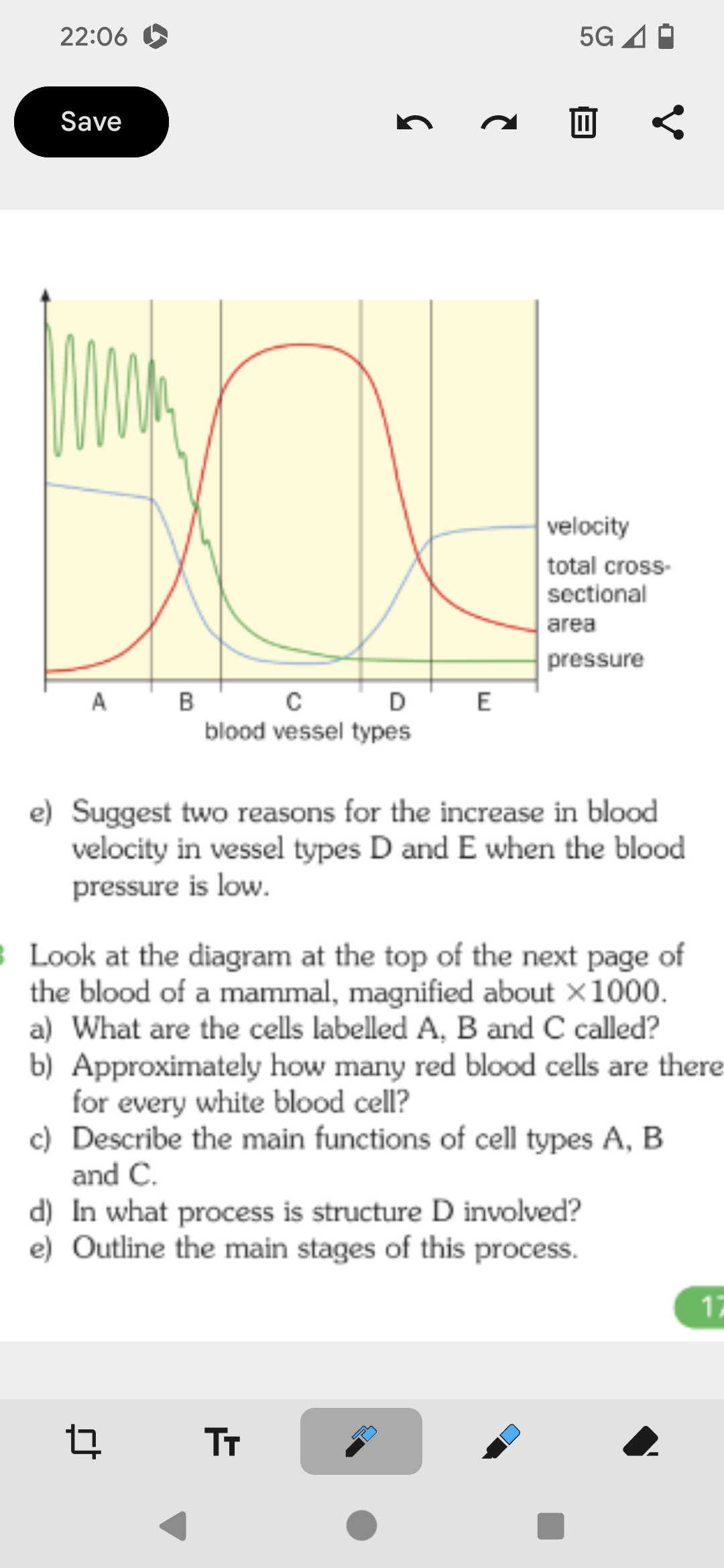 Solved e) Suggest two reasons for the increase in blood | Chegg.com