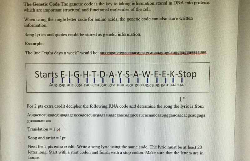 essay questions on genetic code