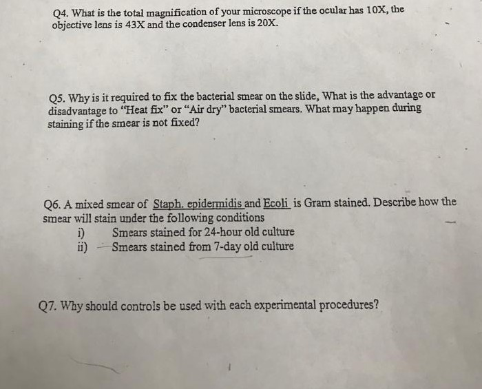 Solved Q4. What is the total magnification of your | Chegg.com