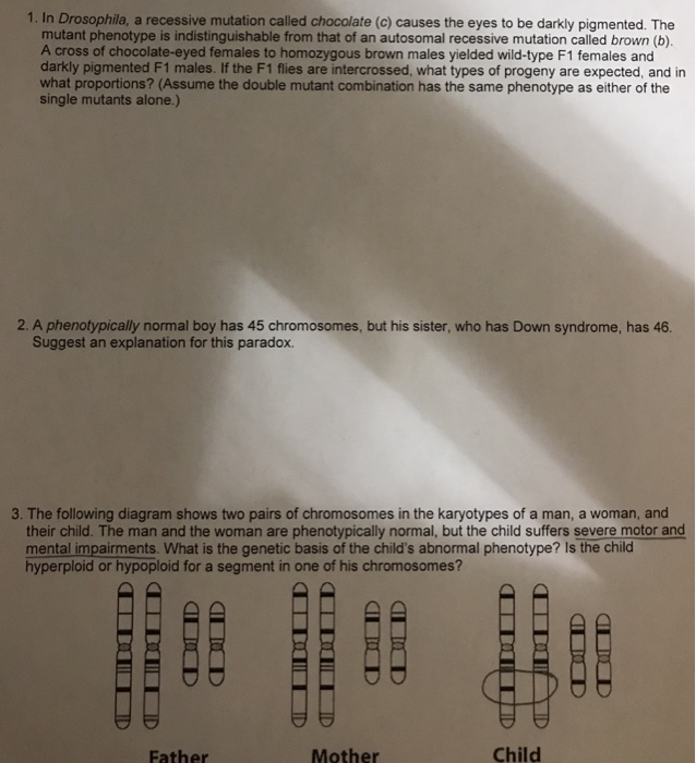 Solved 1. In Drosophila, a recessive mutation called | Chegg.com