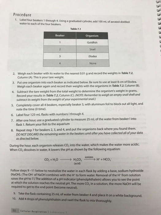 Solved Procedure 1 Label Four Beakers 1 Through 4 Using A