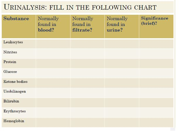 Urinalysis Chart