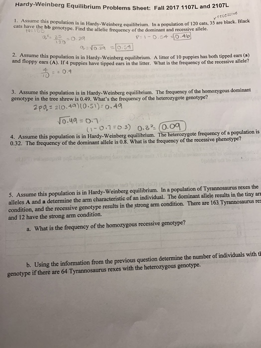 solved-hardy-weinberg-equilibrium-problems-sheet-fall-2017-chegg