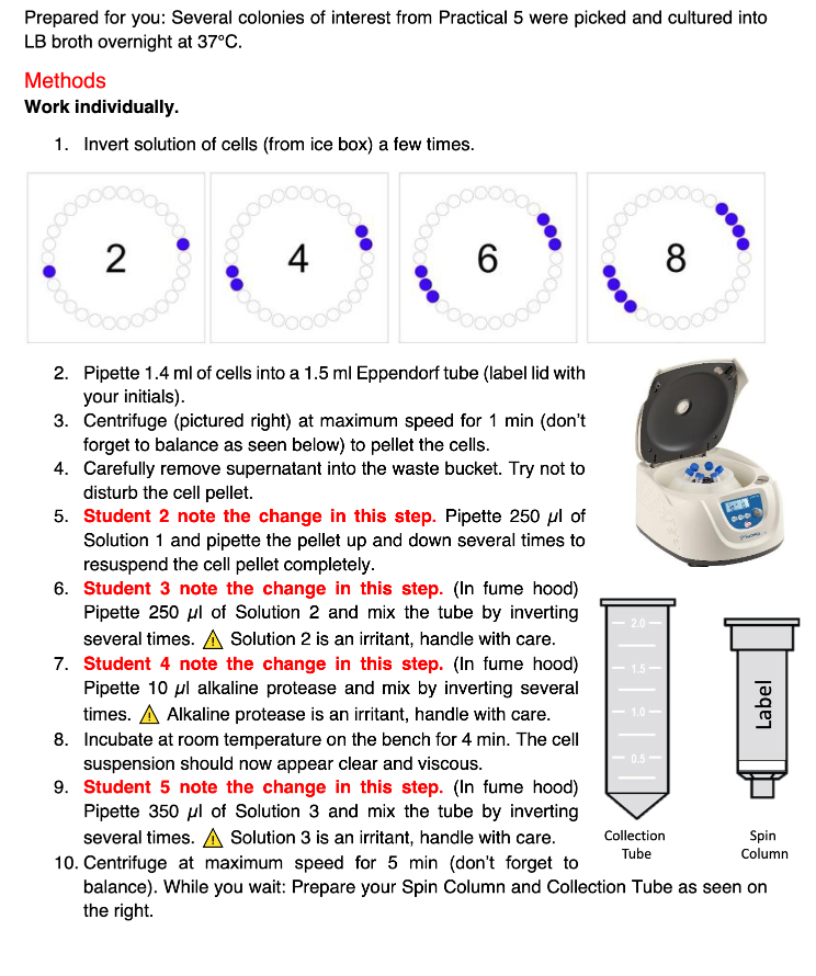 Solved a. What was your variable for Practical 6 ? What is