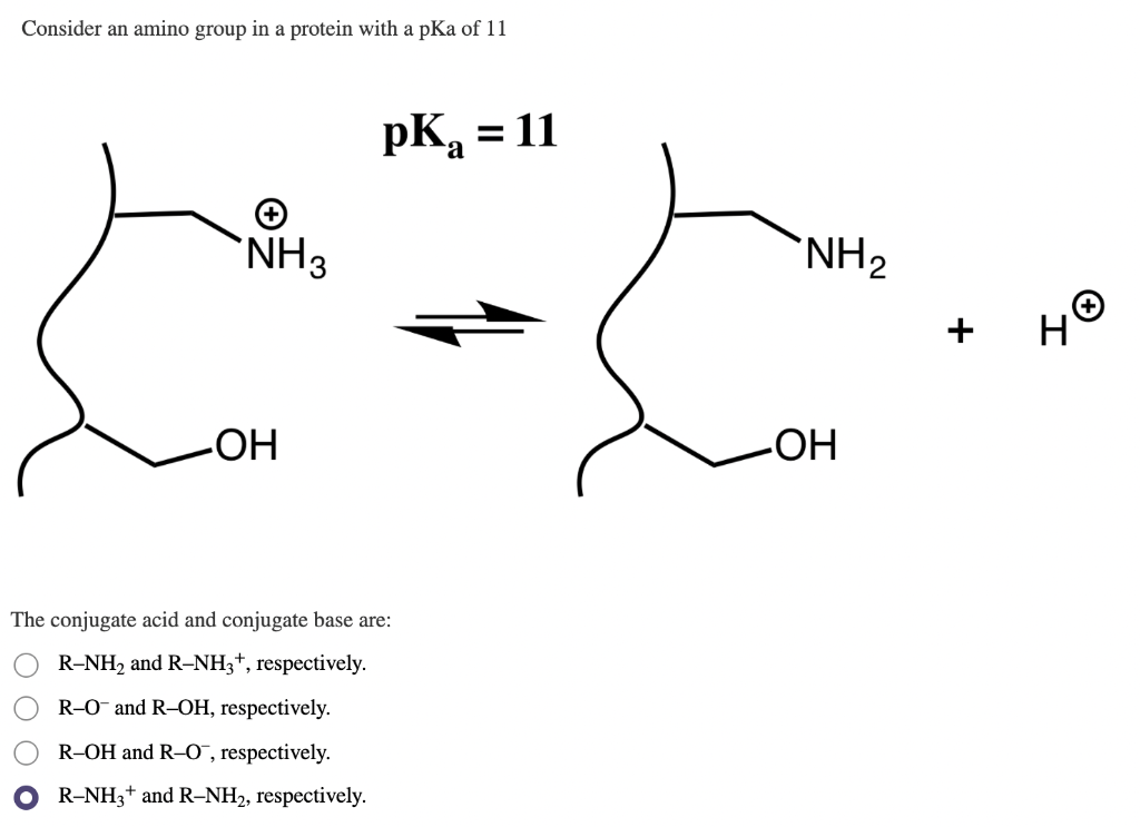 Solved Consider an amino group in a protein with a pKa of 11
