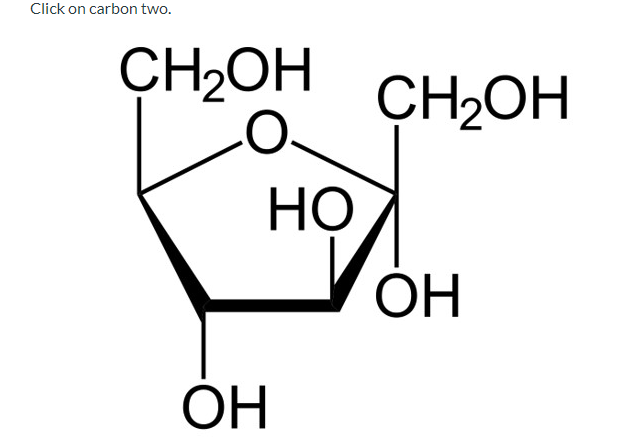 Solved Click on carbon four. ОН CH2OH ОН ОН ОН Click on | Chegg.com