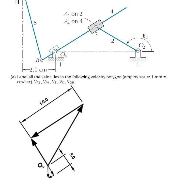 Solved 4 A, on 2 A4 on 4 5 3 02 2 BO 1 -2.0 cm (a) Label all | Chegg.com