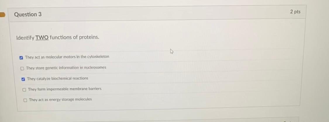 Solved Question 3 2 pts Identify TWO functions of proteins. | Chegg.com