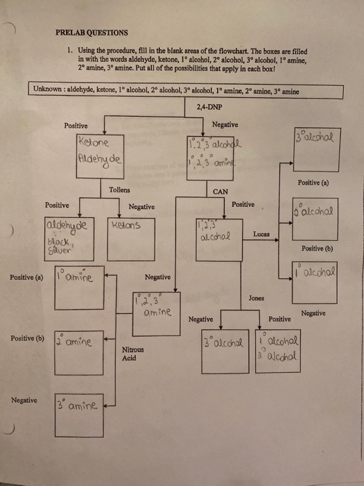 Solved PRELAB QUESTIONSUsing the procedure, fill in the | Chegg.com