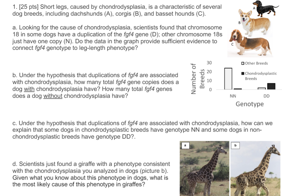 how many genes do dogs have