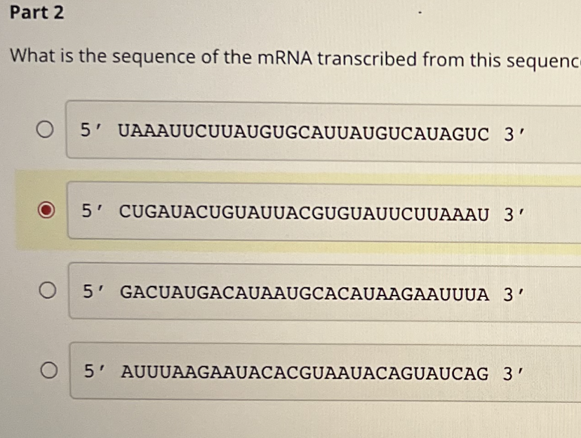 Solved Part 3Indicate the sequence of amino acids that will | Chegg.com