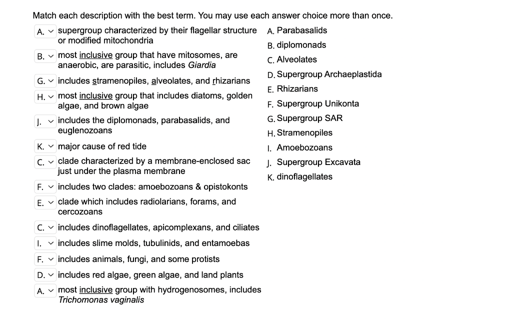 Solved Match each description with the best term. You may | Chegg.com