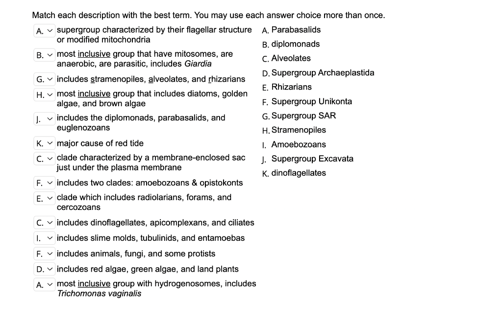 Solved Match Each Description With The Best Term. You May 