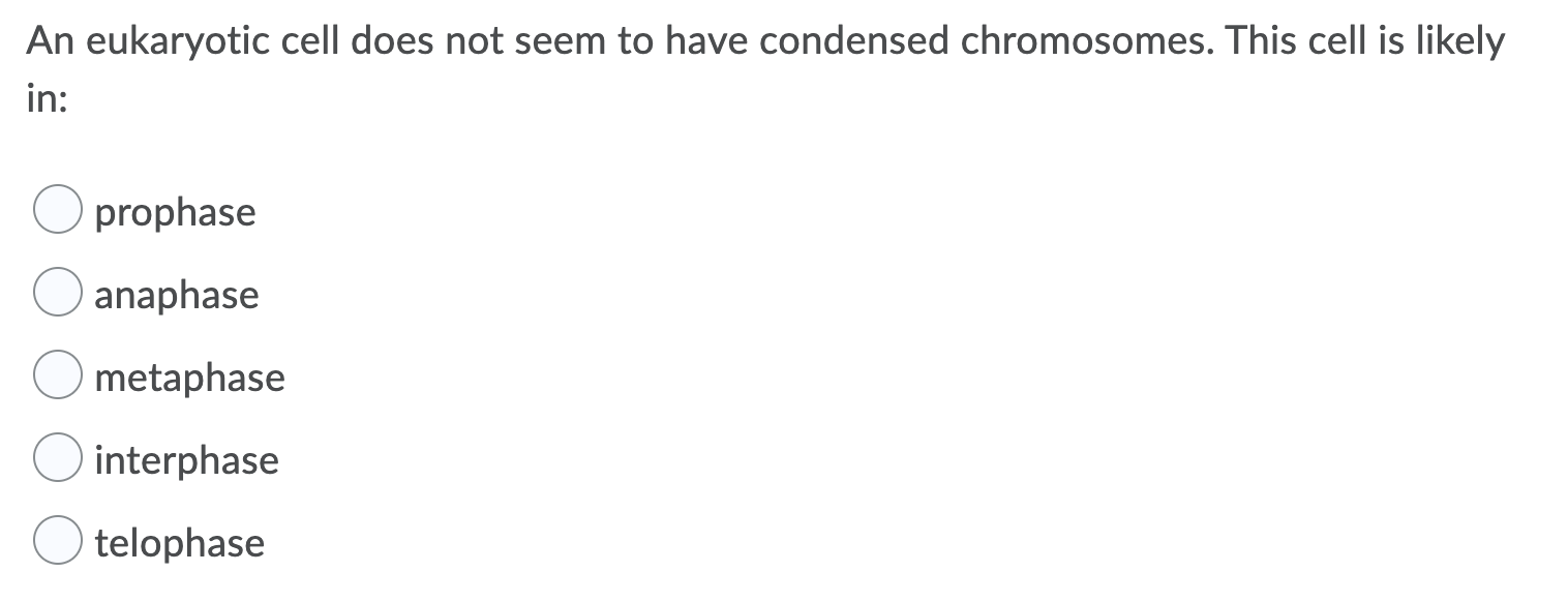 Solved An eukaryotic cell does not seem to have condensed | Chegg.com