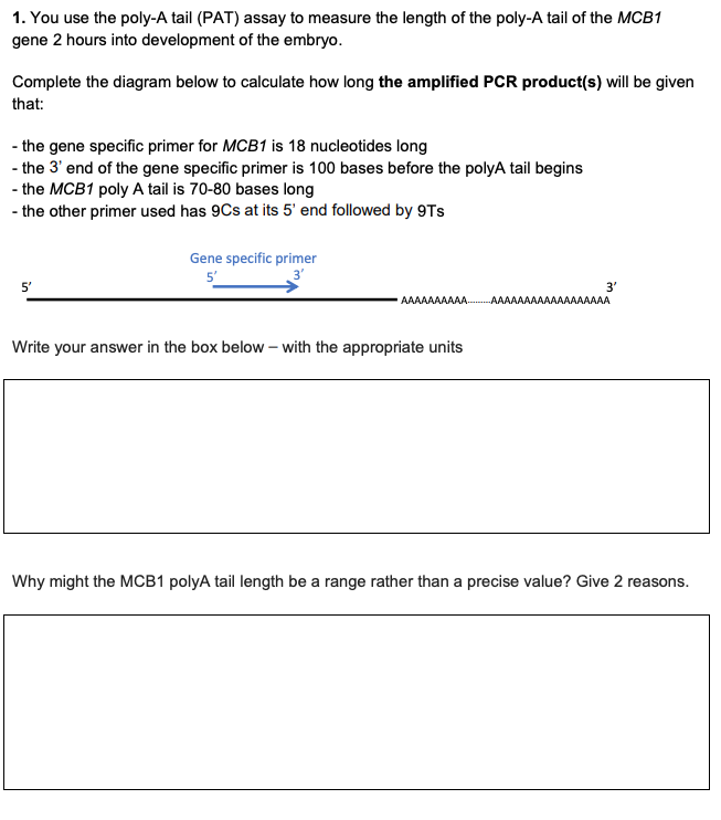 Solved 1. You use the poly-A tail (PAT) assay to measure the | Chegg.com