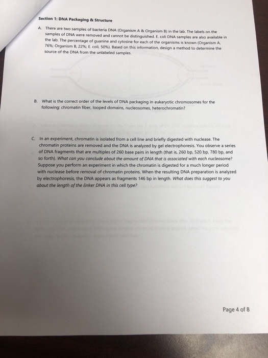 Solved Section 1: DNA Packaging & Structure A. Ther e are | Chegg.com