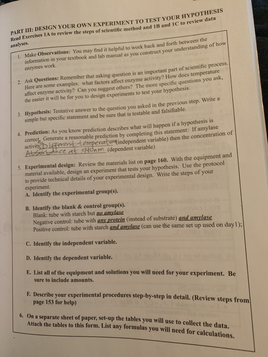 Enzyme Review Worksheet Answers - Nidecmege