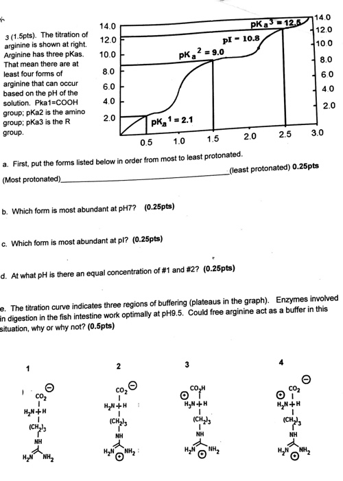 Arginine Titration Curve Brain Mind Article