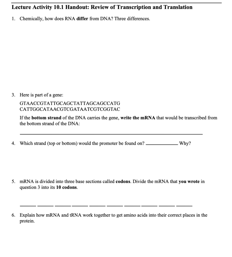 lecture activity 10 1 handout review