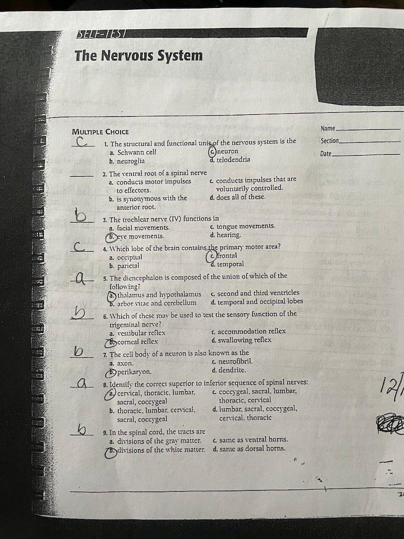 SELF-TEST The Nervous System Name Section Date b MULTIPLE CHOICE 1. The structural and functional unit of the nervous system