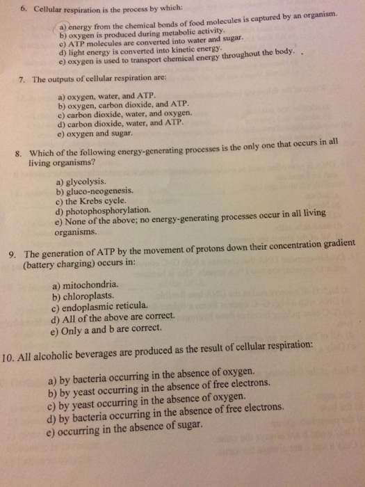 Solved 6. Cellular respiration is the process by which: a) | Chegg.com