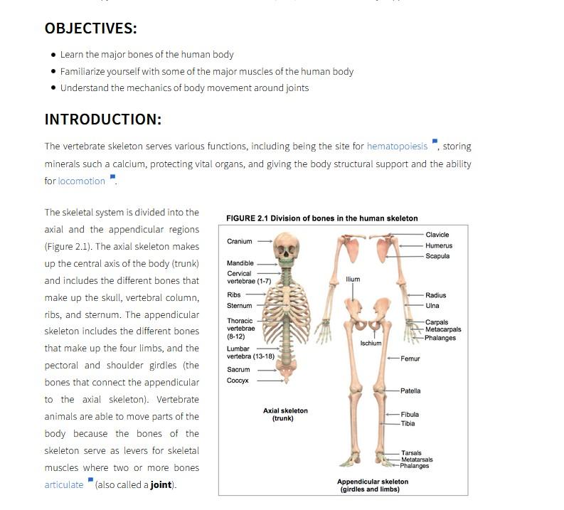 Solved Objectives Learn The Major Bones Of The Human Bod Chegg Com