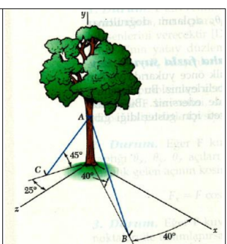 Solved To stabilize a tree whose roots partially emerged | Chegg.com