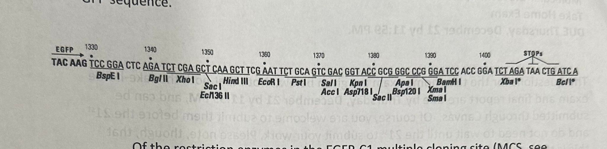 Solved Accession Number assignment: NM_001111072.1 7. Next, | Chegg.com