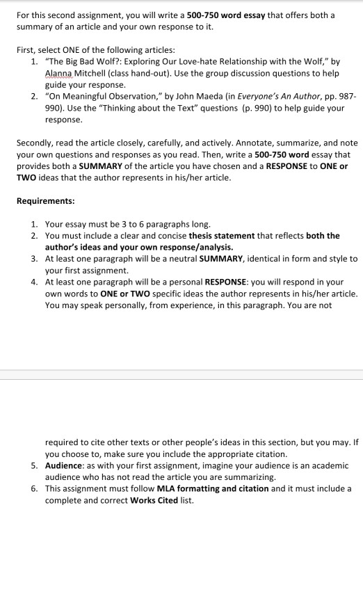 observation essay format