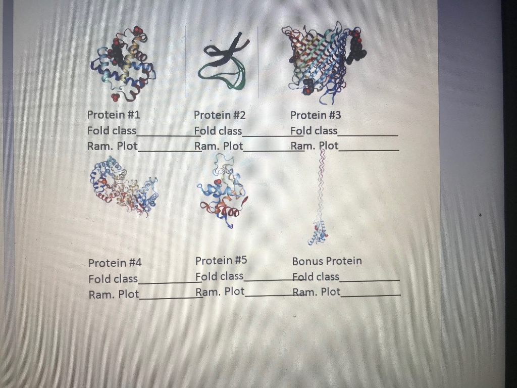 Protein #1 Fold class Ram. Plot Protein #2 Fold class | Chegg.com